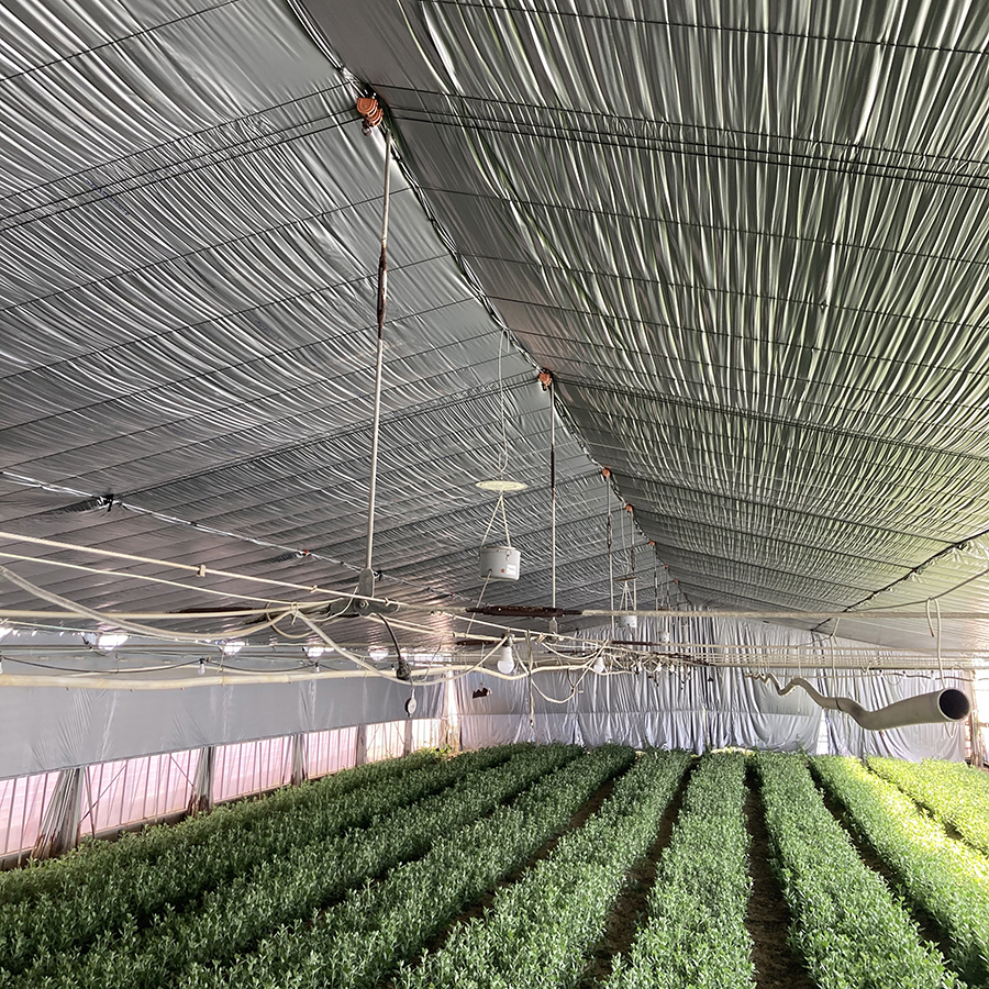 タキロンシーアイ　ハイメタリックシルバー　特注品　0.1　8.7ｍ×7ｍ